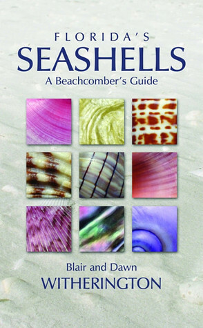 Florida's Seashells: A Beachcomber's Guide by Blair E. Witherington, Dawn Witherington