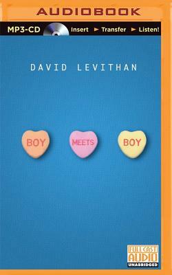 Boy Meets Boy by David Levithan