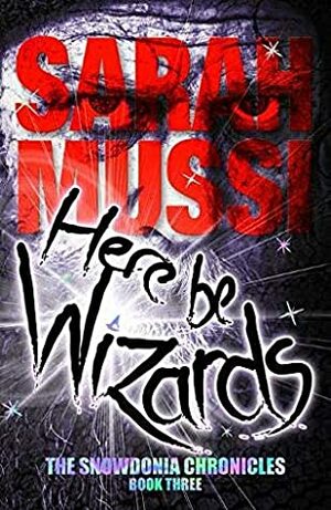 Here Be Wizards (The Snowdonia Chronicles #3) by Sarah Mussi