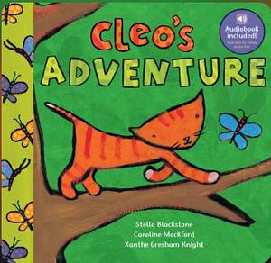 Cleo's Adventure by Stella Blackstone