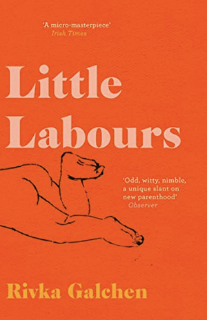 Little Labours by Rivka Galchen