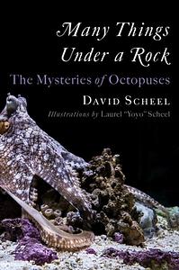 Many Things Under a Rock: The Mysteries of Octopuses by David Scheel