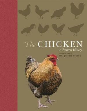 The Chicken: A Natural History by Joseph Barber