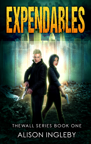Expendables by Alison Ingleby