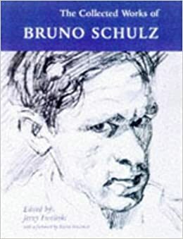 Collected Works of Bruno Schulz by Bruno Schulz
