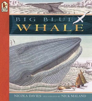 Big Blue Whale by Nicola Davies