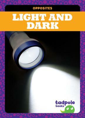 Light and Dark by Erica Donner