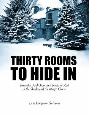 Thirty Rooms to Hide In: Insanity, Addiction, and Rock 'n' Roll in the Shadow of the Mayo Clinic by Luke Sullivan