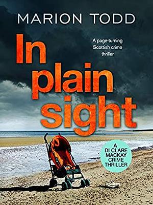 In Plain Sight by Marion Todd