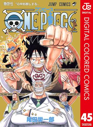 ONE PIECE カラー版 45 by Eiichiro Oda, 尾田 栄一郎