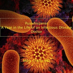 Puswhisperer: A Year in the Life of an Infectious Disease Doctor by Mark Crislip