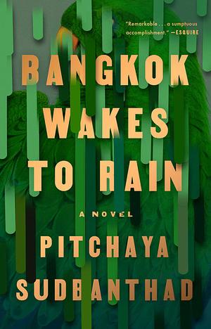 Bangkok Wakes to Rain by Pitchaya Sudbanthad