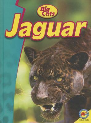 Jaguar by Lauren Diemer