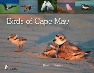 Birds of Cape May by Kevin T. Karlson