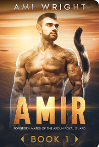 Amir by Ami Wright