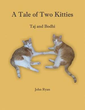 A Tale of Two Kitties: Taj and Bodhi by John Ryan