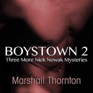 Three More Nick Nowak Mysteries by Marshall Thornton