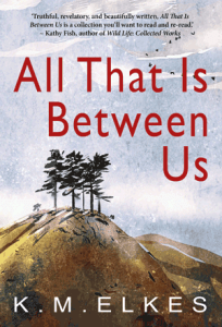 All That Is Between Us by K.M. Elkes