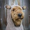 rebesinlentes's profile picture