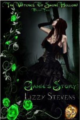 Jamie's Story by Lizzy Stevens