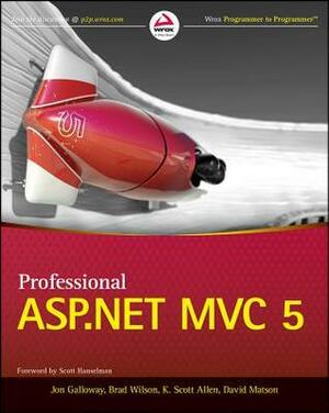 Professional ASP.NET MVC 5 by Jon Galloway