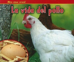 La Vida del Pollo = The Life of a Chicken by Nancy Dickmann