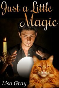 Just a Little Magic by Lisa Gray