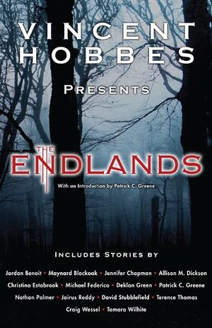 The Endlands Volume 2 by Vincent Hobbes