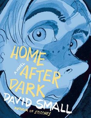 Home After Dark by David Small