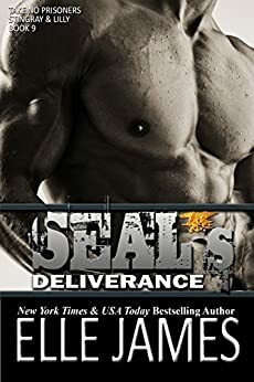 SEAL's Deliverance by Elle James