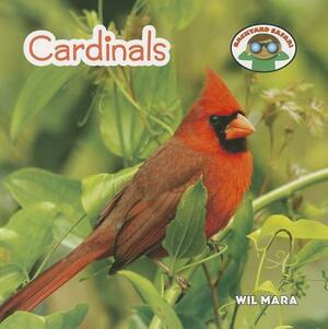 Cardinals by Wil Mara