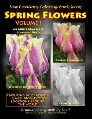 Spring Flowers Volume 1 by Teresa Davis