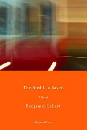 The Bird is a Raven by Benjamin Lebert, Peter Constantine