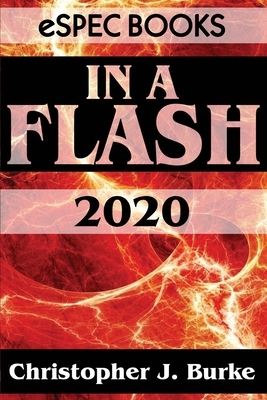 In a Flash 2020 by Christopher J. Burke