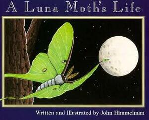 A Luna Moth's Life by Melissa Stewart, John Himmelman