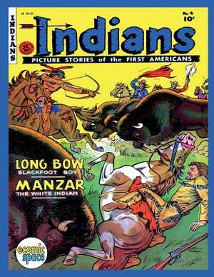 Indians #4 by Fiction House