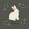 robinbbooks's profile picture