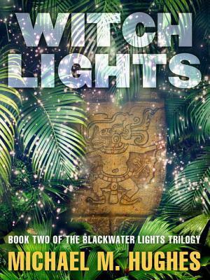 Witch Lights by Michael M. Hughes