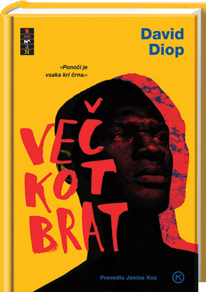 Več kot brat by David Diop