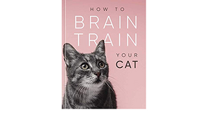 How to Brain Train Your Cat by Helen Redding