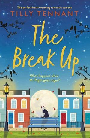 The Break Up by Tilly Tennant