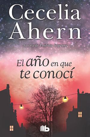 El año en que te conocí by Cecelia Ahern