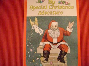 My Special Christmas Adventure by Julia Wilson
