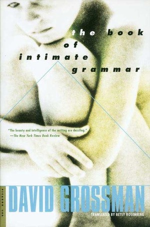 The Book of Intimate Grammar by David Grossman
