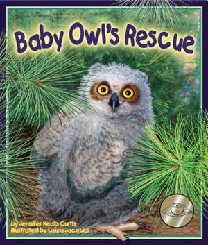 Baby Owl's Rescue by Jennifer Keats Curtis