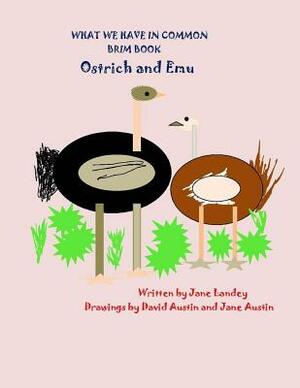 Ostrich and Emu: What We Have in Common Brim Book by 