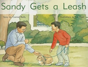 Rigby PM Stars: Individual Student Edition Yellow (Levels 6-8) Sandy Gets a Leash by Reilly