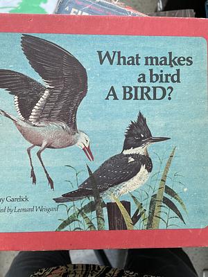 What Makes a Bird a Bird? by May Garelick