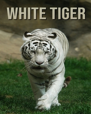 White Tiger: Amazing Photos of Animals in Nature About White Tiger by Alicia Henry