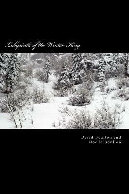 Labyrinth of the Winter King: An Epic Saga by Noelle Boulton, David Boulton